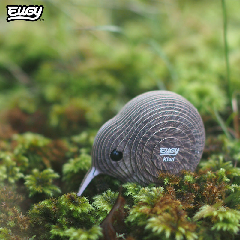 Maquette 3D EUGY 001 Kiwi – mise en scène