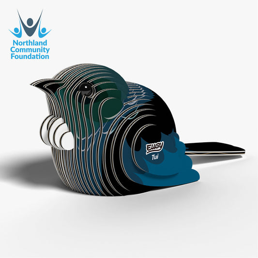 Maquette 3D EUGY 003 Tūī – vue 2