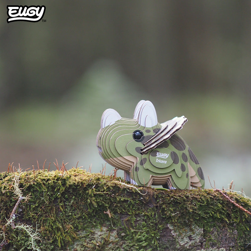Maquette 3D EUGY 006 Tricératops – mise en scène