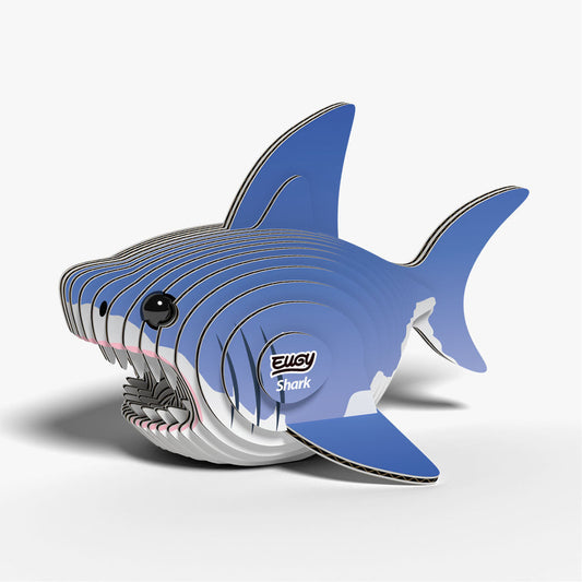019 Hai