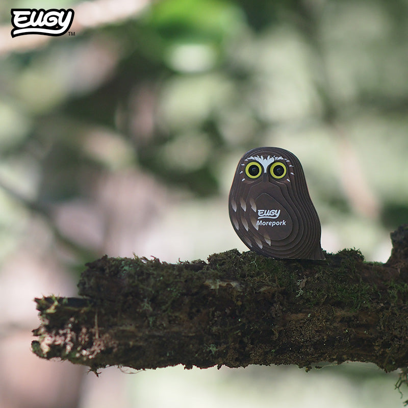 Maquette 3D EUGY 036 Ninox – mise en scène – photographie 2