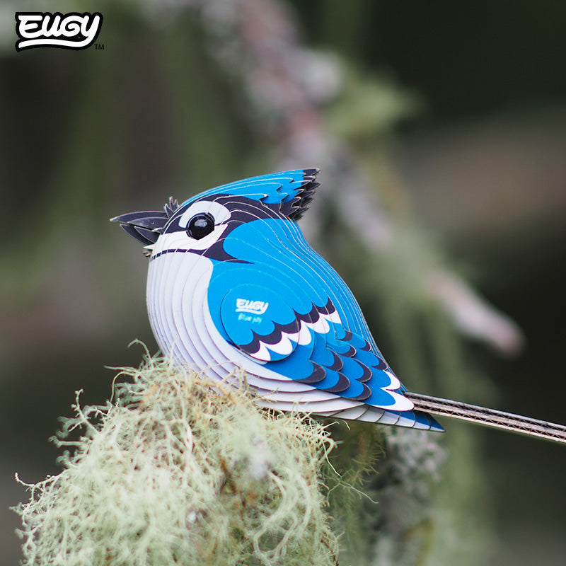 Maquette 3D EUGY 067 Geai bleu – mise en scène
