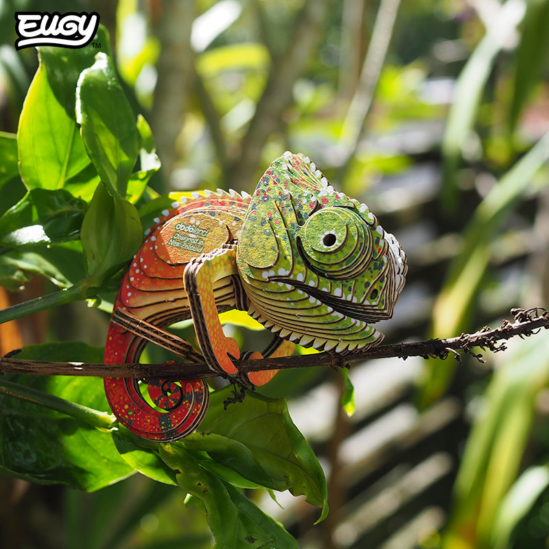 Maquette 3D EUGY 075 Caméléon – mise en scène – photographie 2