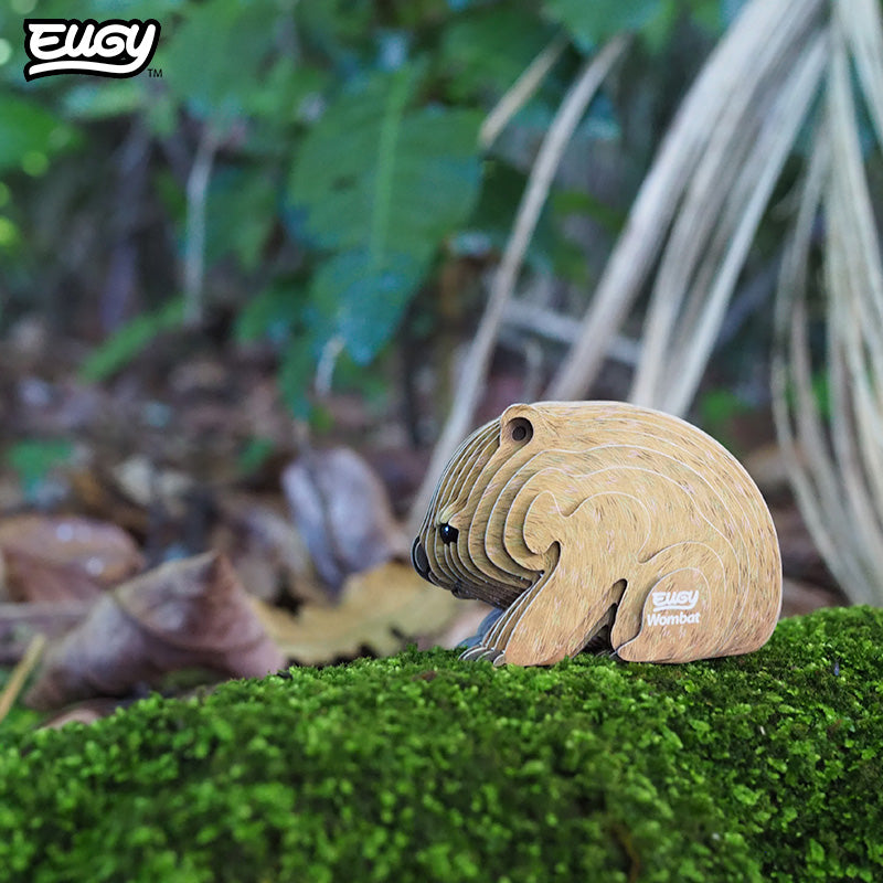 Maquette 3D EUGY 078 Wombat – mise en scène – photographie 2