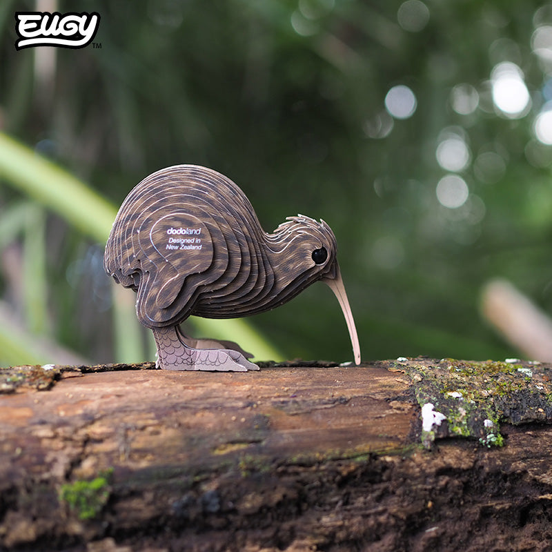 Maquette 3D EUGY 091 Kiwi brun – mise en scène – photographie 2