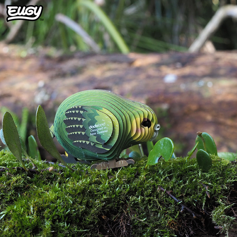 Maquette 3D EUGY 099 Kakapo – mise en scène – photographie 2