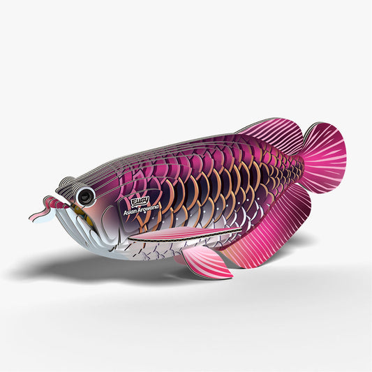 118 Drachenfisch