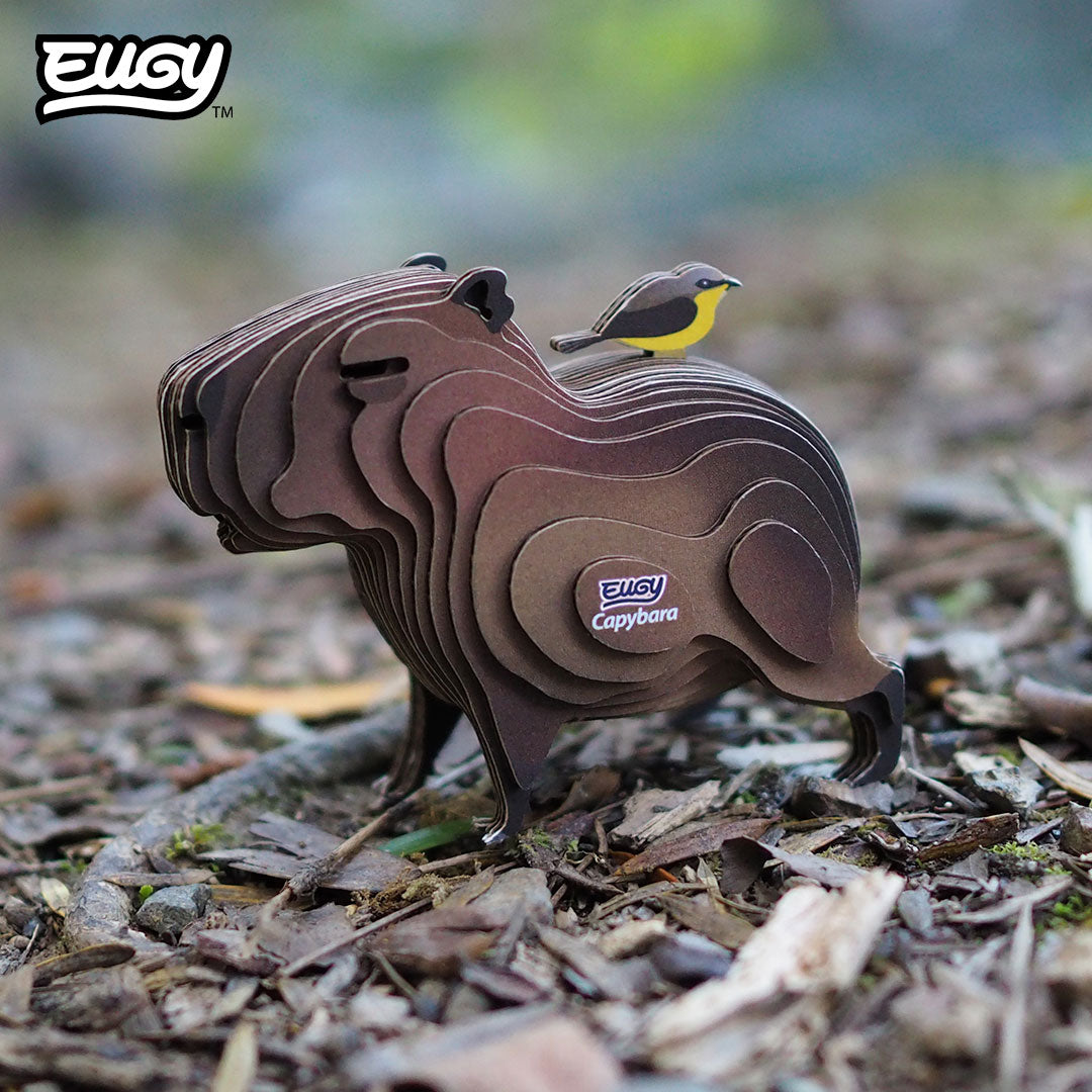 Maquette 3D EUGY 120 Capybara – mise en scène – photographie 2