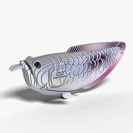 Maquette 3D EUGY 124 Arowana argenté – vue 2