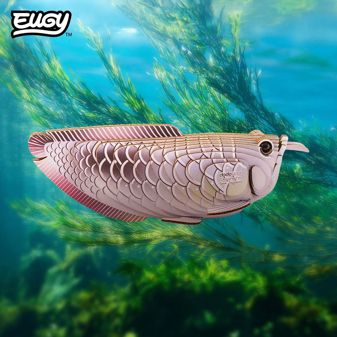 Maquette 3D EUGY 124 Arowana argenté – mise en scène