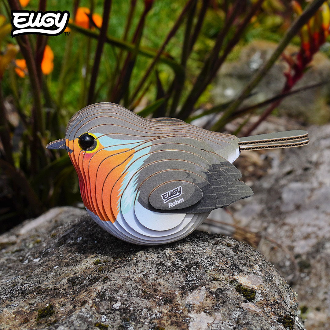 Maquette 3D EUGY 137 Rouge-gorge – mise en scène – photographie 2