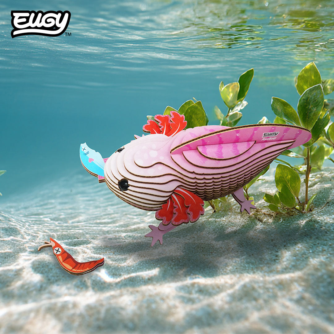 Maquette 3D EUGY 139 Axolotl – mise en scène – photographie 2