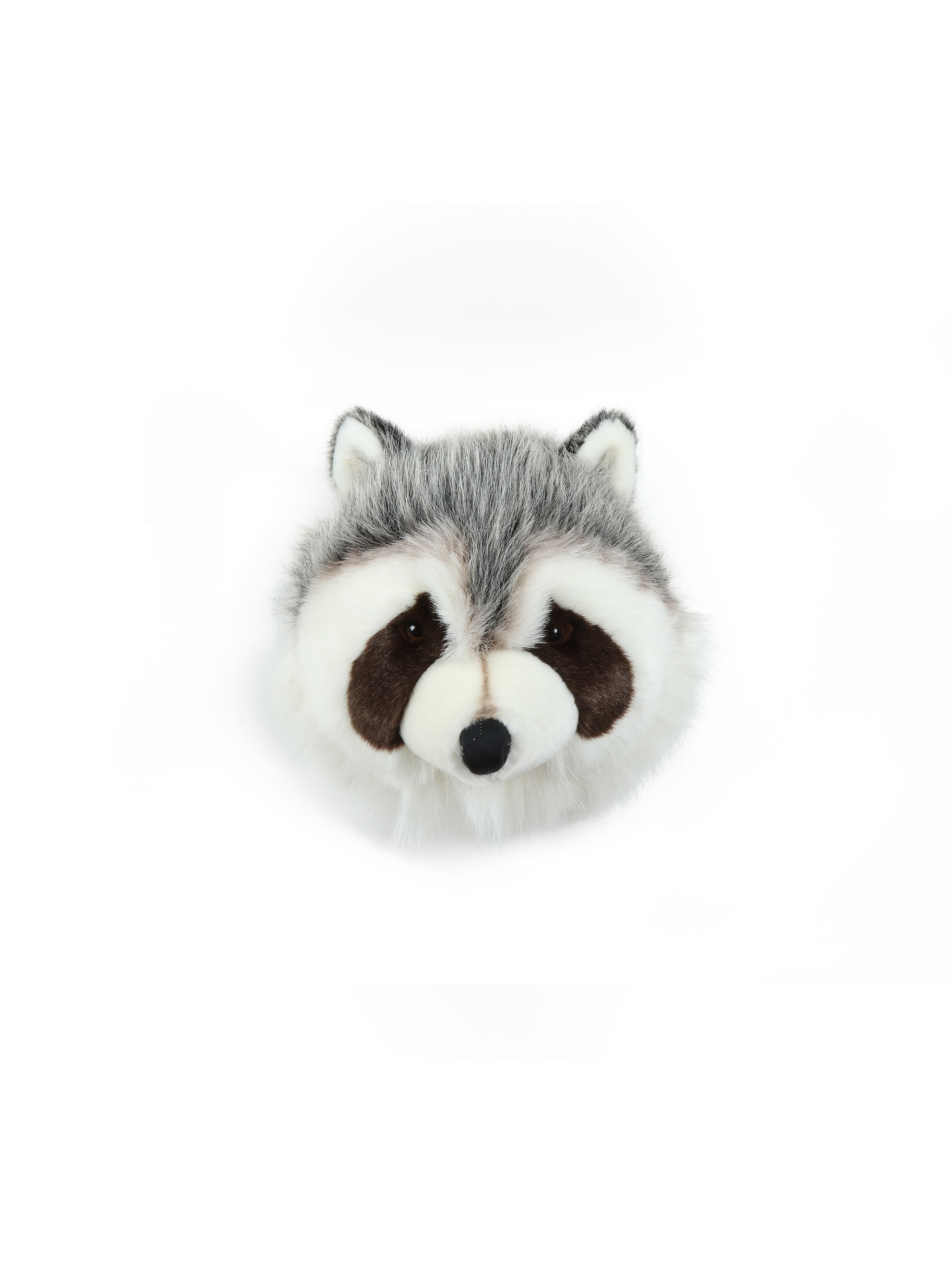 Wanddekoration Plüschtier Waschbär Josh