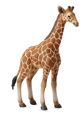 Collecta Animaux sauvages (L): VEAU DE GIRAFE 9x3x12.5cm