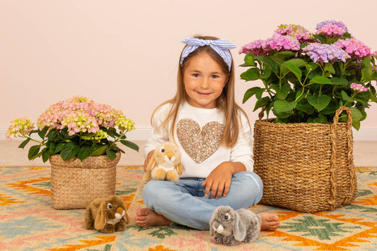 Brown Lop Rabbit Plush Toy