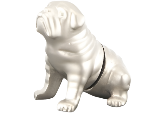 Magnetischer Fotohalter „Bulldog“