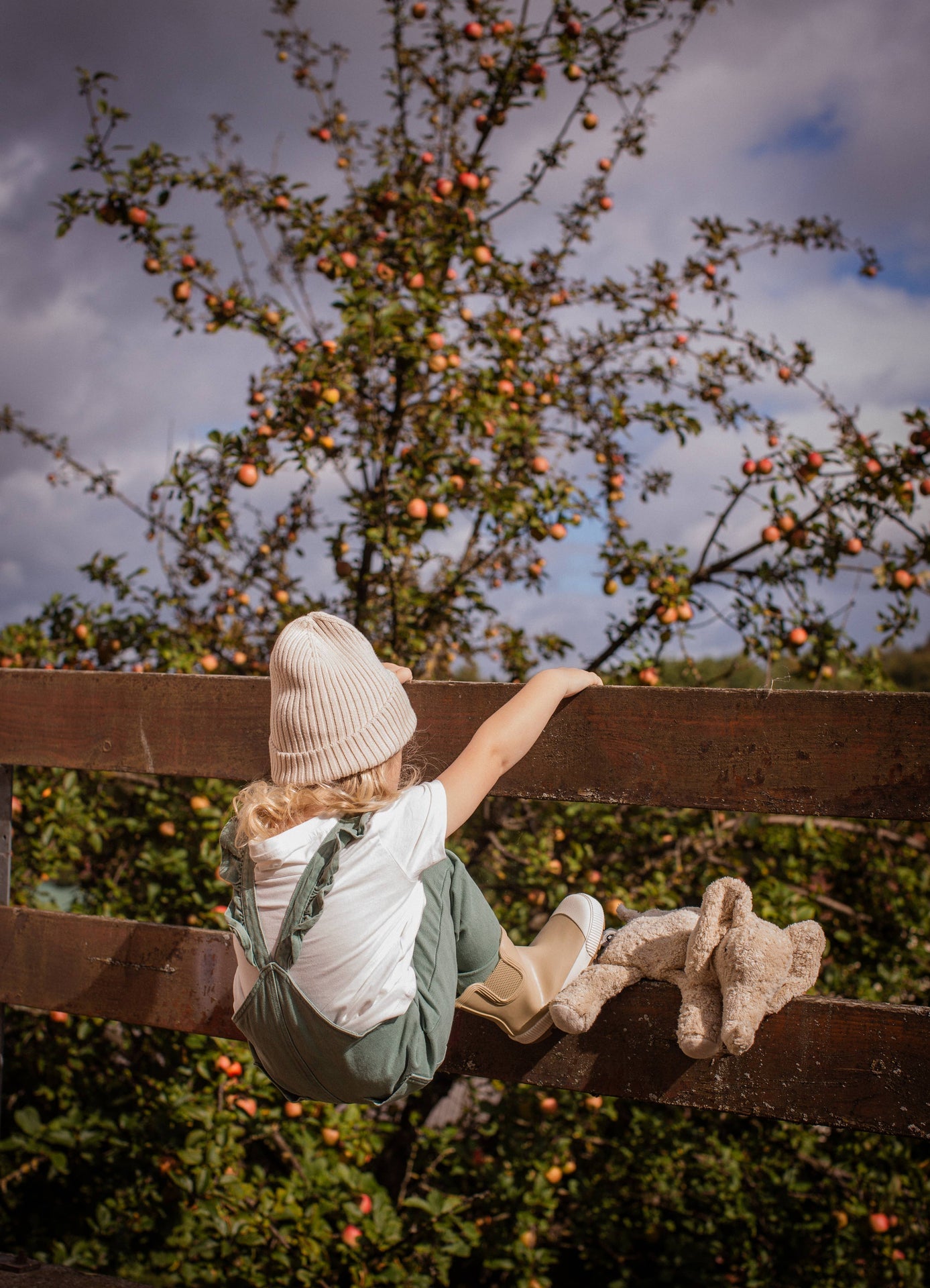 Animal en peluche Éléphant petit | lin