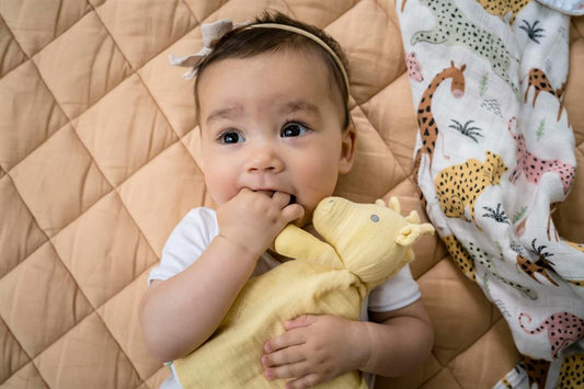 Giraffe Comforter with Teething Support