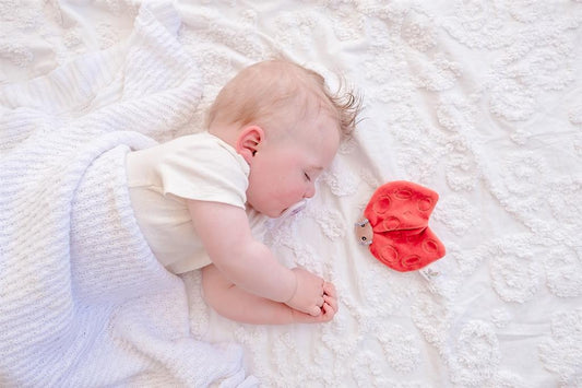 Jouet à Froisser Doudou Coccinelle – vue produit 2
