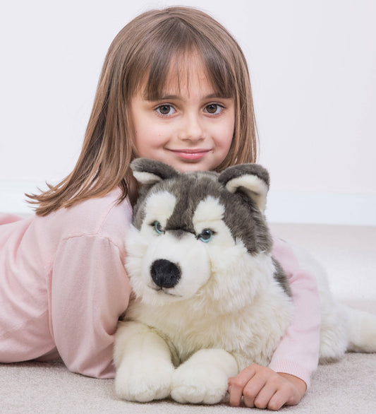 Großer Plüsch-Husky liegt