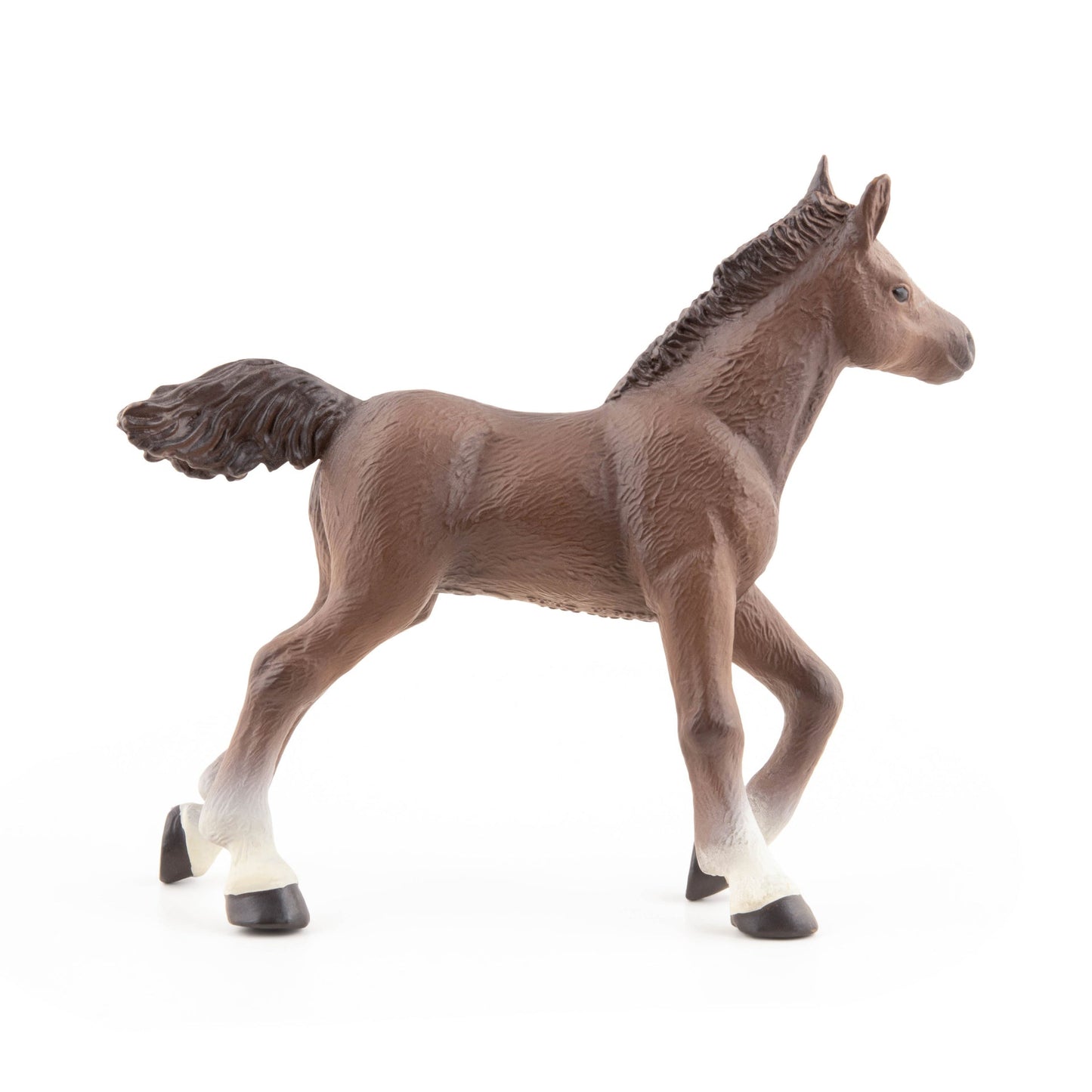 Figurine Poulain anglo-arabe
