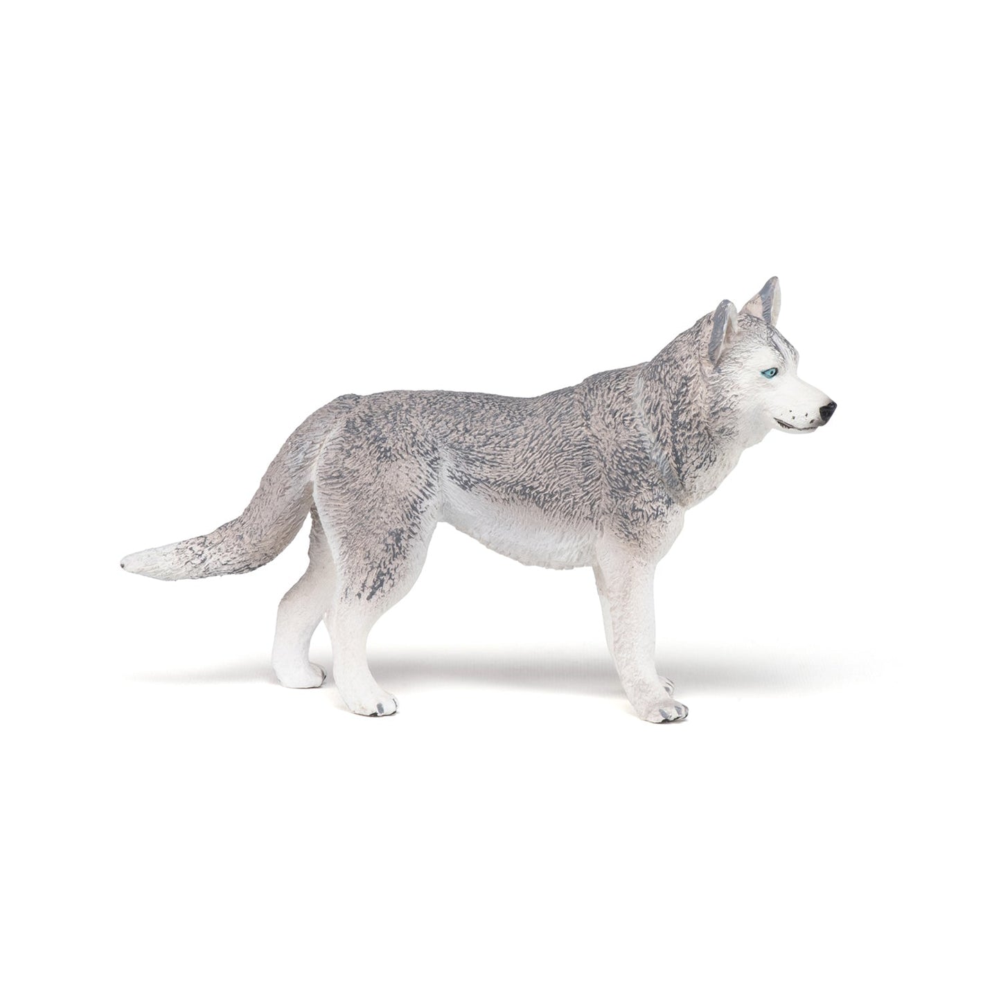Figurine Husky de Sibérie