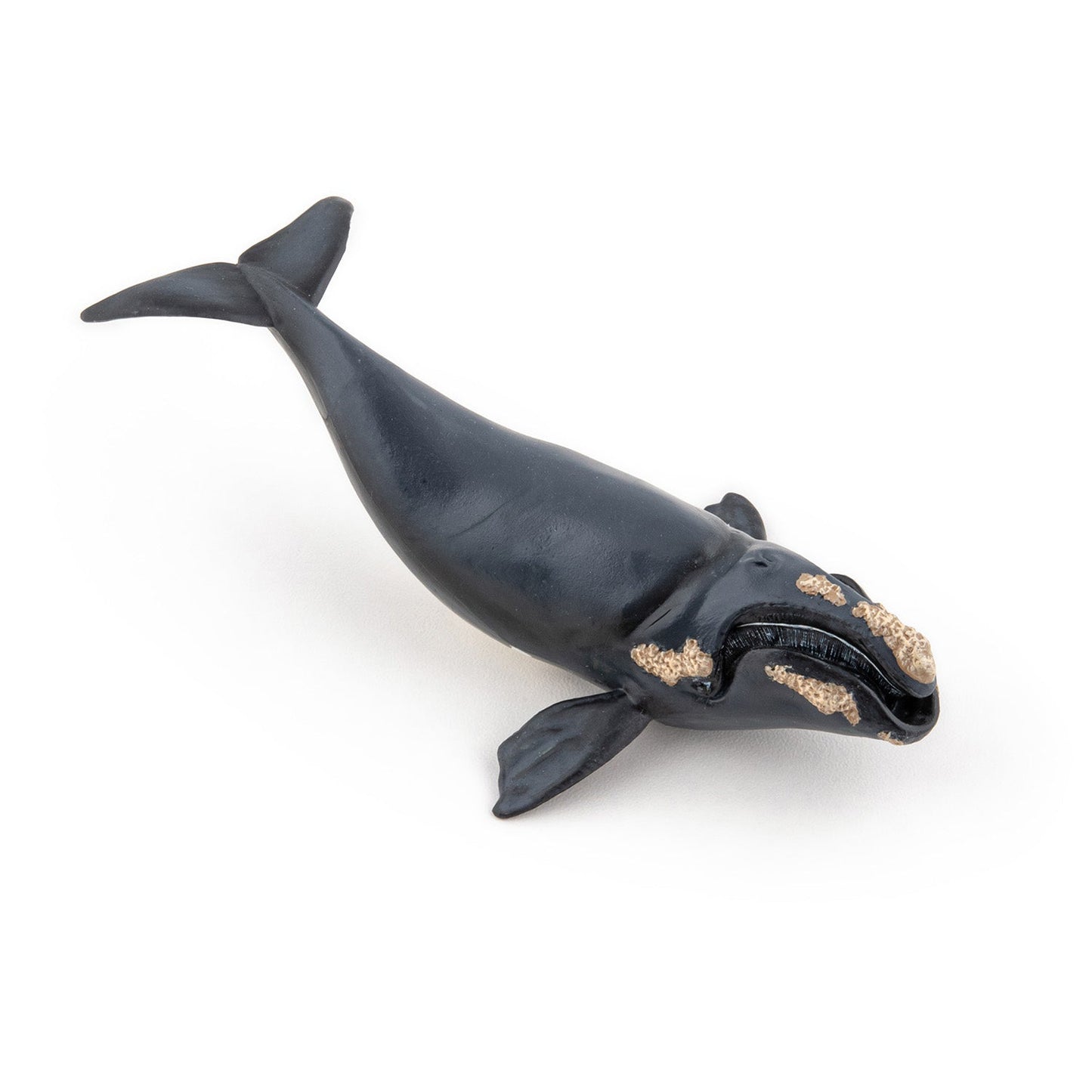Figurine Baleine franche