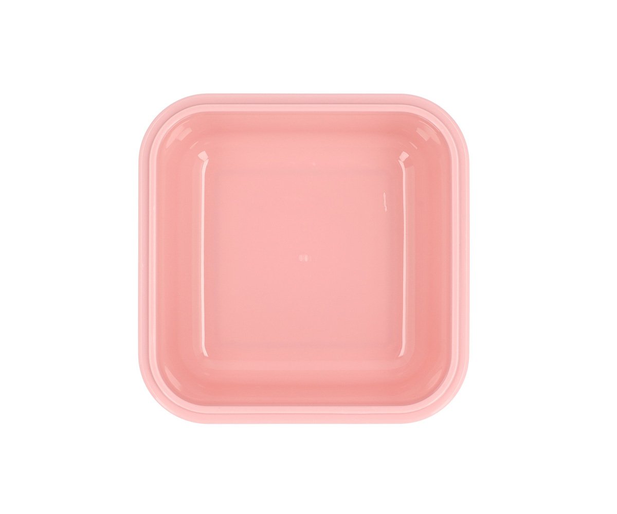 Boîte à Déjeuner Insectes