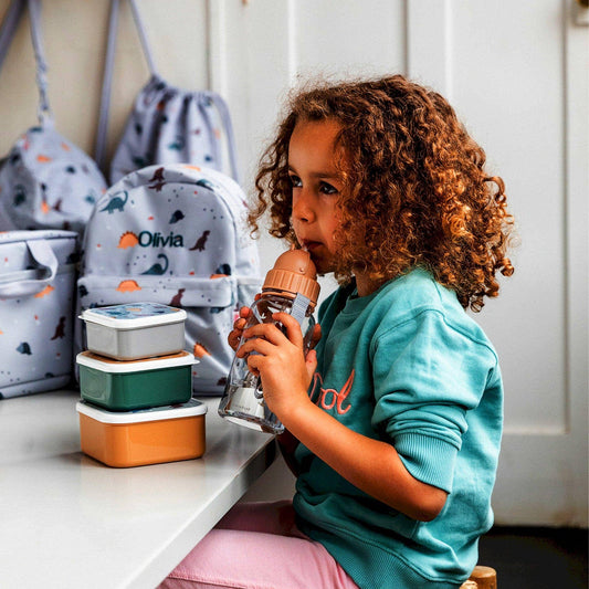 Gourde en plastique Monde des Dinosaures