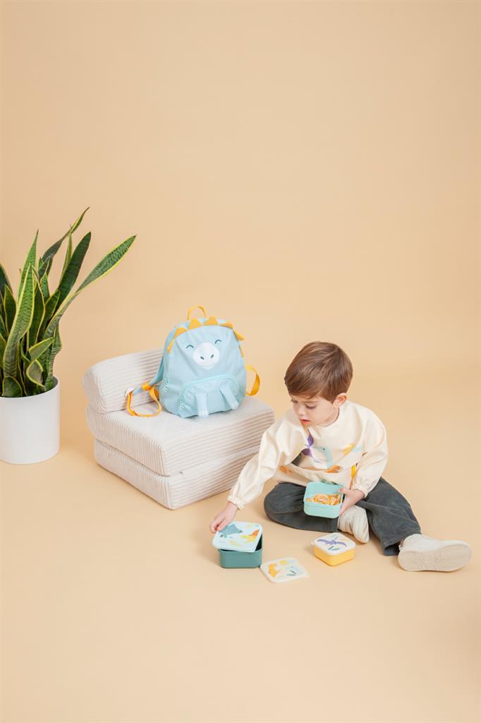 Dinosaur Lunch Box