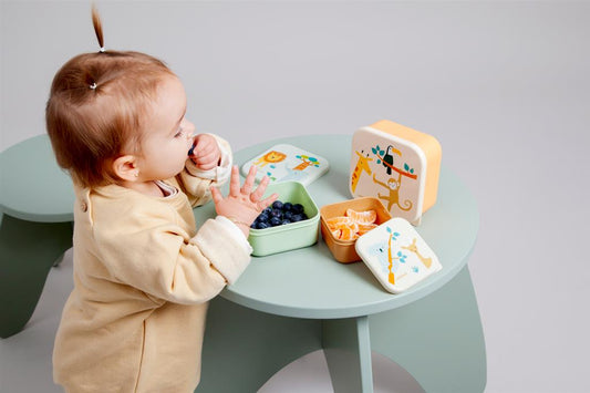 Jungle Animals Lunch Box