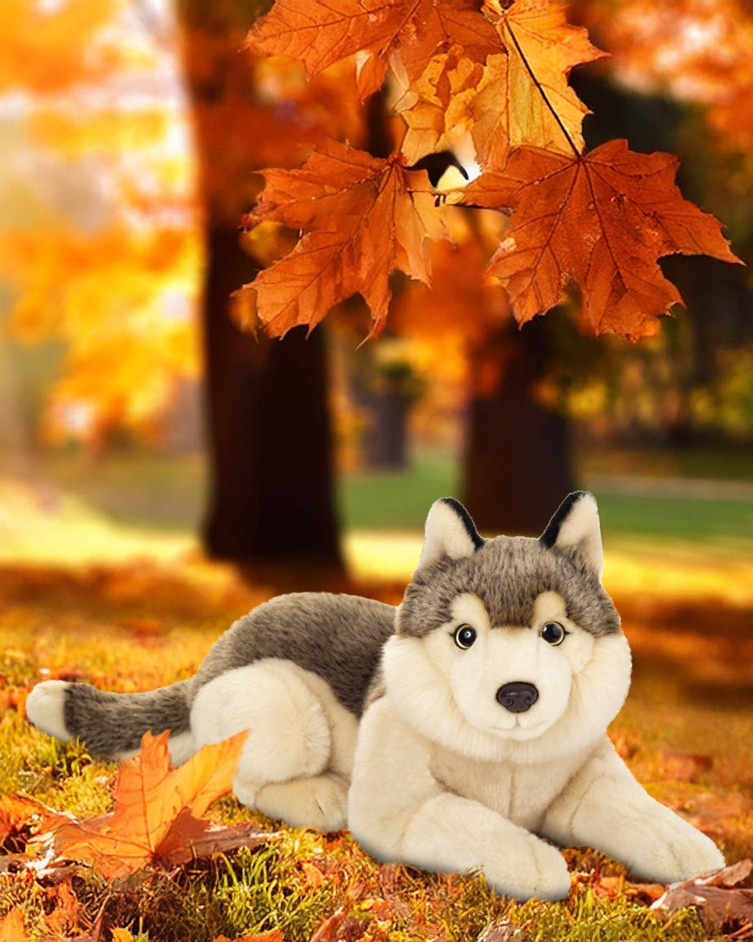 Peluche Loup Couché - Teddy Hermann
