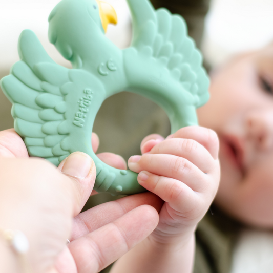 Green Parrot Teething Ring