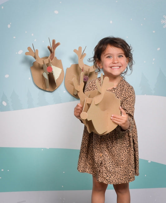Déco Noël Carton