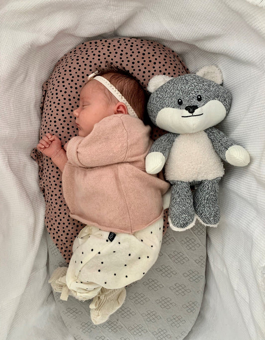 Peluche Bruit Blanc Robin