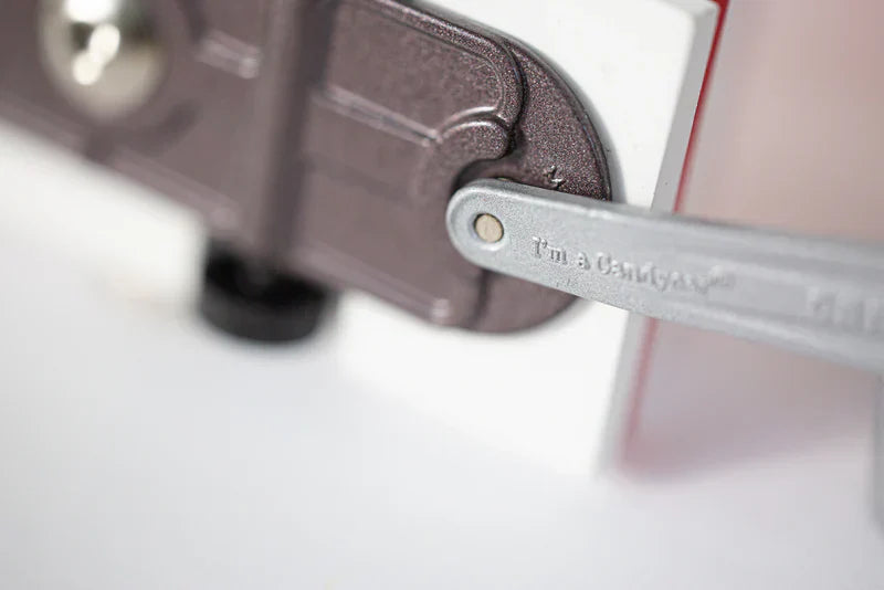 Candycar World Holzauto – Weißer Schwan