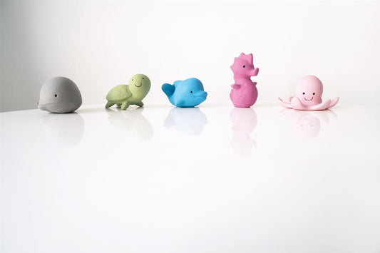 Mes Premiers Animaux Marins, vue 2 – Tikiri