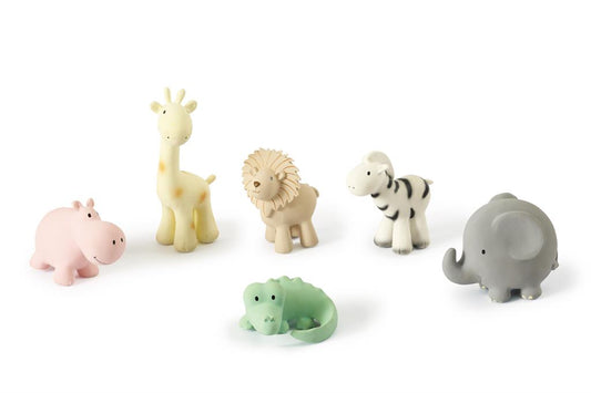 Zèbre du Zoo, vue 2 – Tikiri