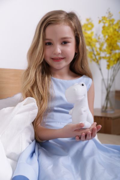 Rechargeable dinosaur night light