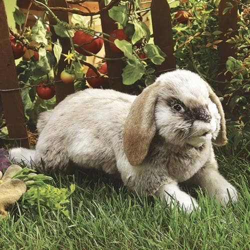 Marionnette à main Lapin à oreilles pendantes 2892/ Lapin, Holland Lop Folkmanis réaliste