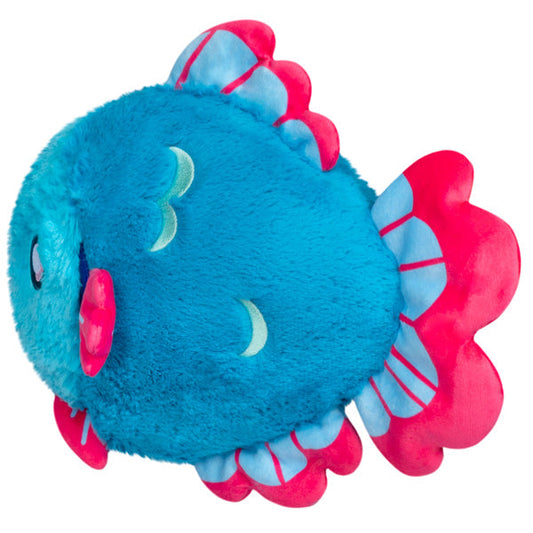 Mini Squishable – Kampffisch