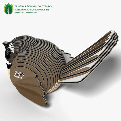 002 Rhipidure à collier