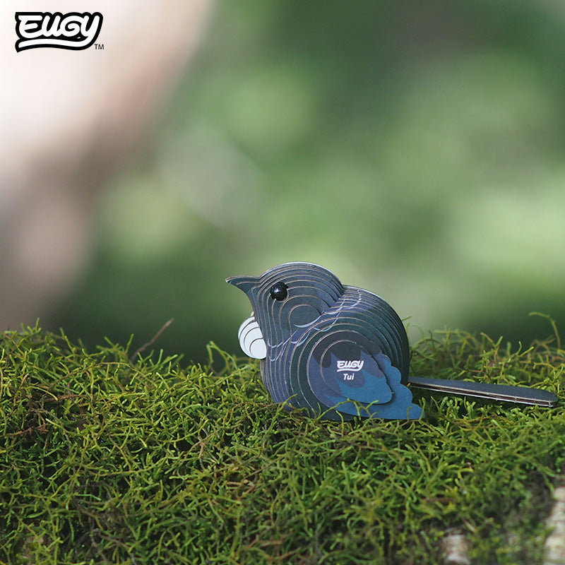 003 Tūī