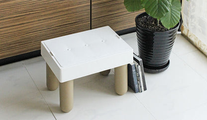 Stepfill Multi-purpose Stool