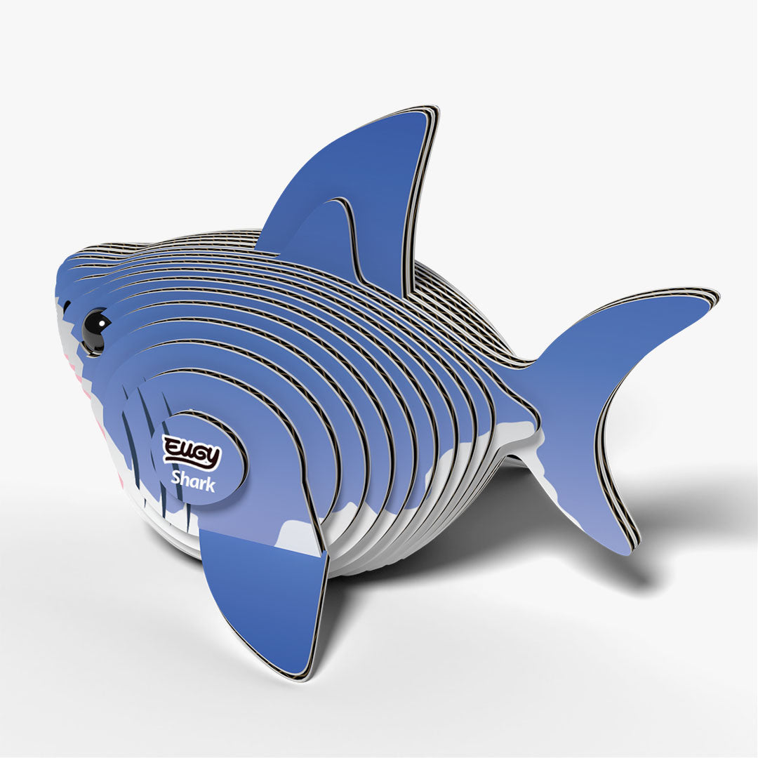 019 Requin