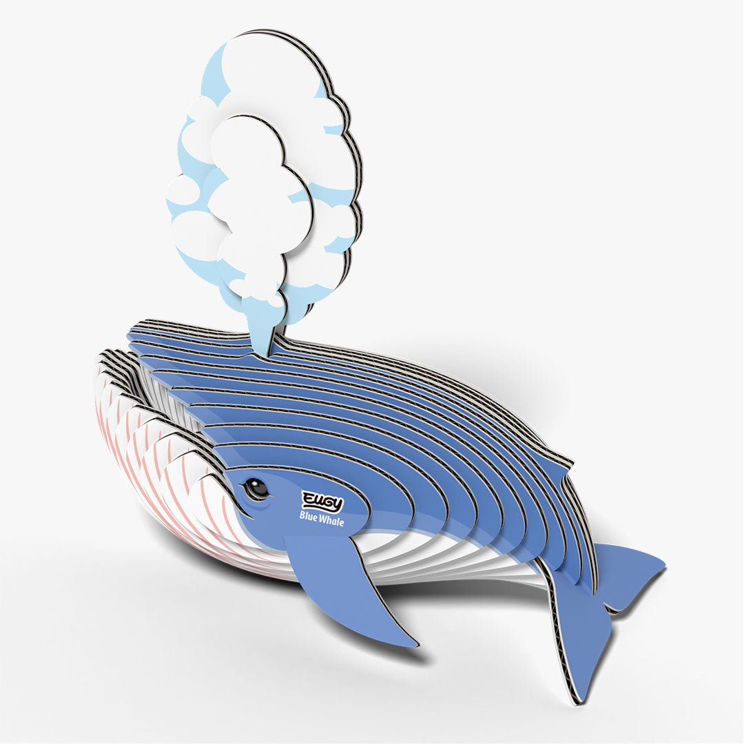 066 Baleine bleue