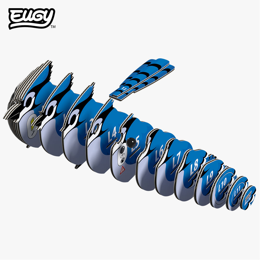 067 Geai bleu