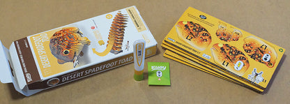 eugy 117 desert spadefoot toad