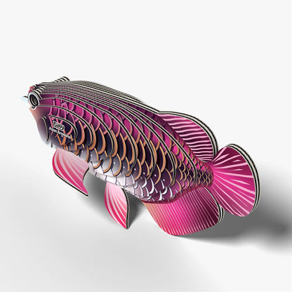 118 Poisson dragon