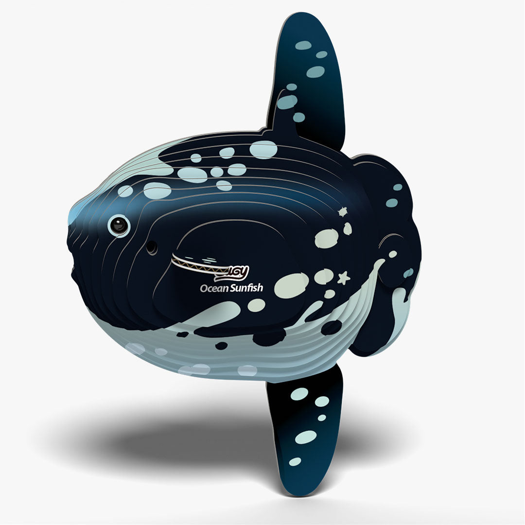 132 Poisson-lune